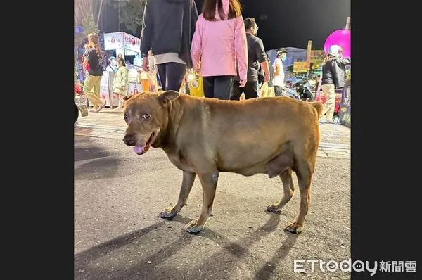 ▲▼台南歸仁有名的開心果「地下區長」離世。(圖/網友留言提供)