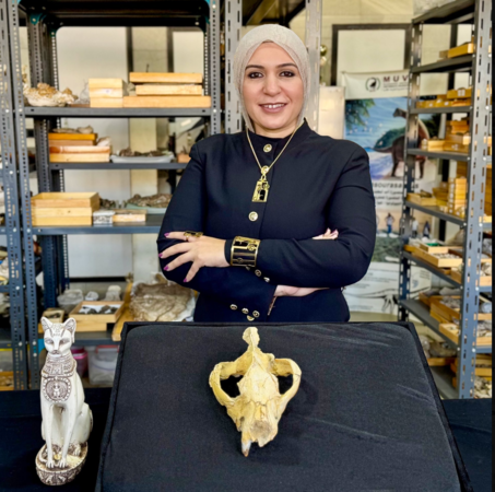 ▲▼「巴斯泰特齒獸」(Bastetodon syrtos)。(圖/翻攝自X/@heshamsallam)