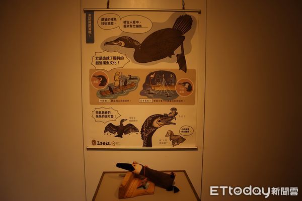 ▲▼ 鰲鼓濕地森林園區舉辦「鸕鷀.如此」系列活動,濕地生態展示館內展出鸕鷀立姿標本展和鸕鷀專題介紹 。(圖/林業保育署嘉義分署提供)