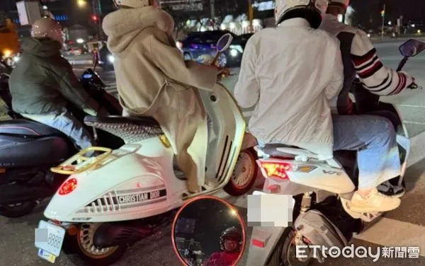 ▲▼ 。(圖/網友授權)