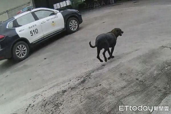 ▲枋寮警分局員警會同民眾救出掉入水溝的毛小孩 。(圖/記者陳崑福翻攝)