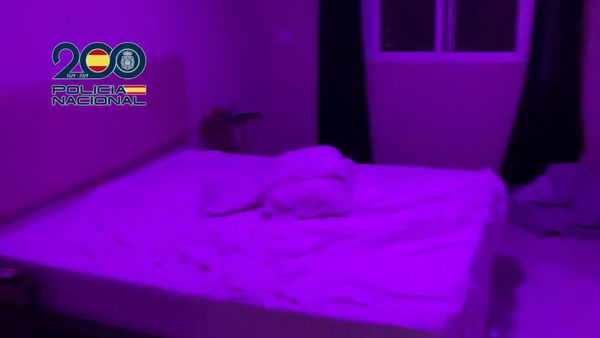 ▲▼ 。(圖/翻攝自X@policia)