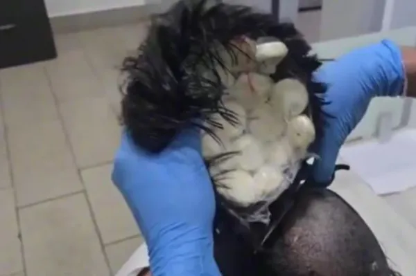 ▲▼警方剪開假髮驚見價值32萬古柯鹼。(圖/翻攝自Facebook/Policía Nacional de los Colombianos )