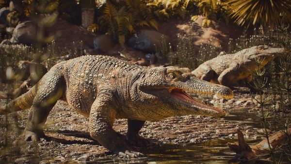 ▲▼研究人員在巴西南大河州城市南天堂發現距今約2.37億年前中生代的新爬行動物化石。(圖/翻攝自聖瑪麗亞聯邦大學網頁ufsm.br)