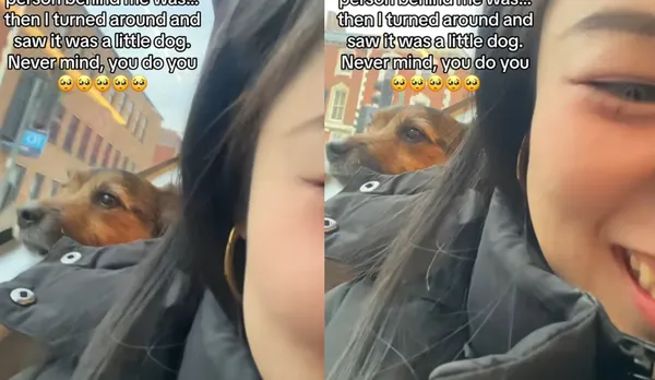 搭公車後座貼太近 女暴怒回頭看到「毛毛乘客」秒消氣:請繼續。(圖/翻攝自TikTok/eloisecuteeee)