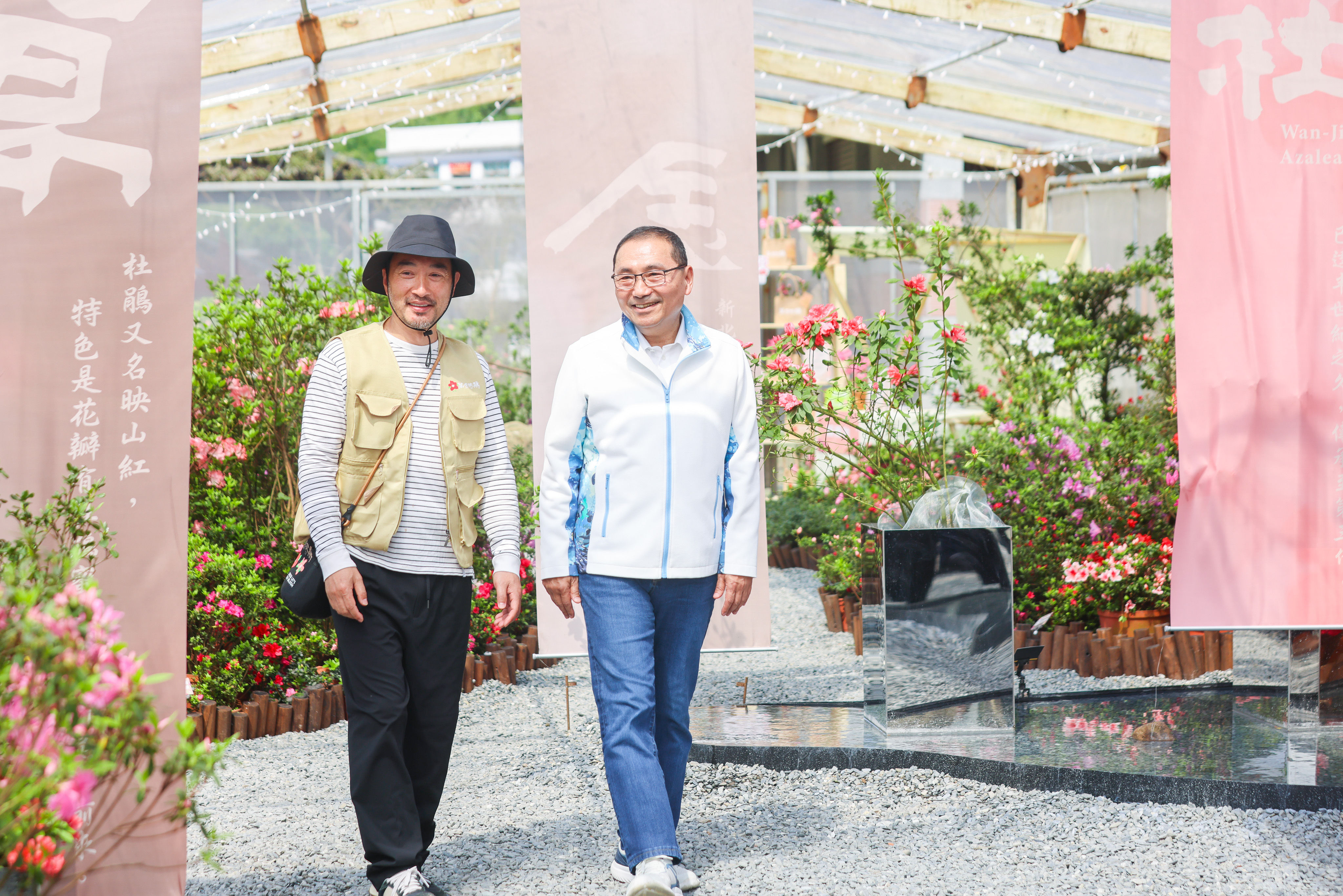 ▲新北「萬金杜鵑」驚艷亮相。(圖/新北市農業局提供)