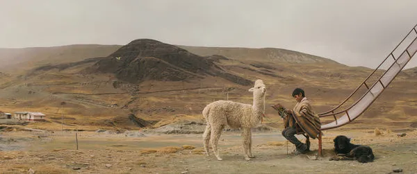 ▲秘魯電影《我的朋友草泥馬》。(圖/沖繩環太電影節提供)