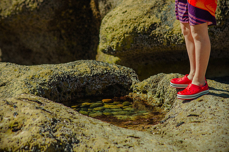 ▲▼洞洞鞋,海邊,岩石,Crocs,示意圖。(圖/VCG)