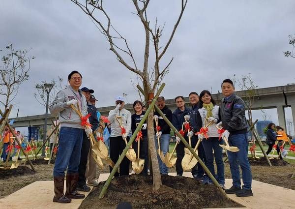 ▲桃園植樹節栽種流蘇樹苗