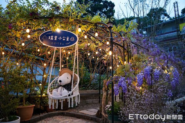 ▲▼ 春季必遊!嘉義縣瑞里地區咖啡館與紫藤花海完美融合 。(圖/嘉義縣政府提供)