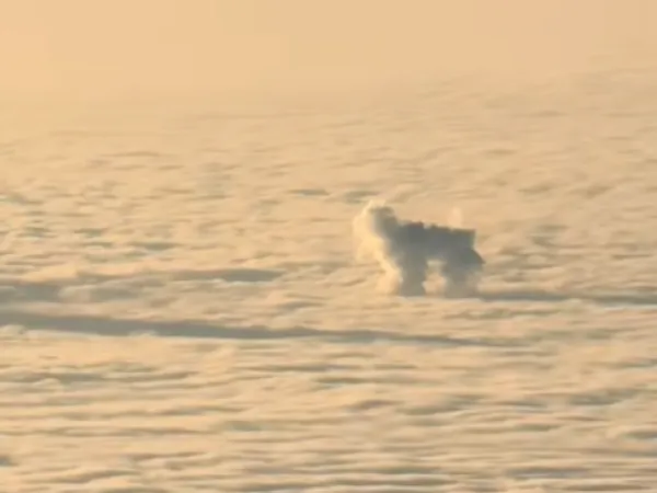 ▲(圖/翻攝自TikTok/@charlottemaltaparty)