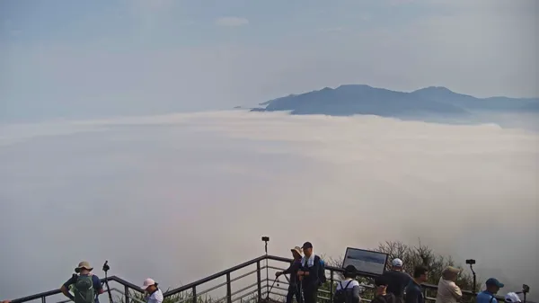▲觀音山雲海(即時影像畫面),觀音山硬漢嶺眺望美景。(圖/北觀處提供)