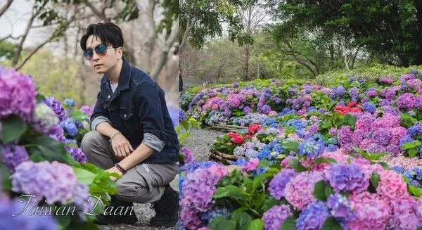 ▲▼台北大安森林公園繡球花季。(圖/部落客黑皮的旅遊筆記授權提供)