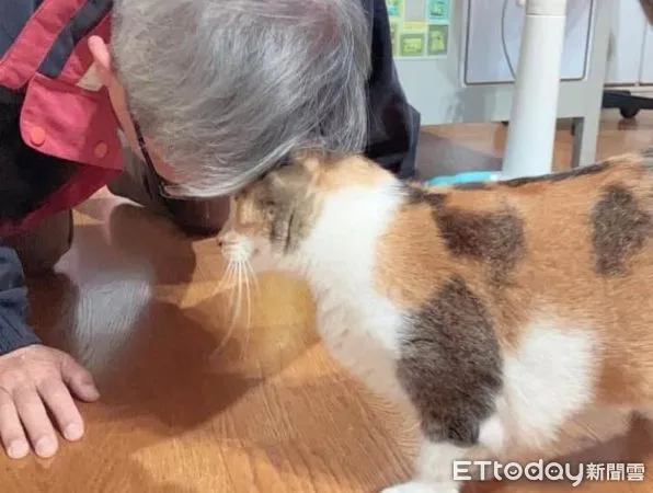 ▲(圖/網友@wind_operator提供,請勿隨意翻拍,以免侵權。)