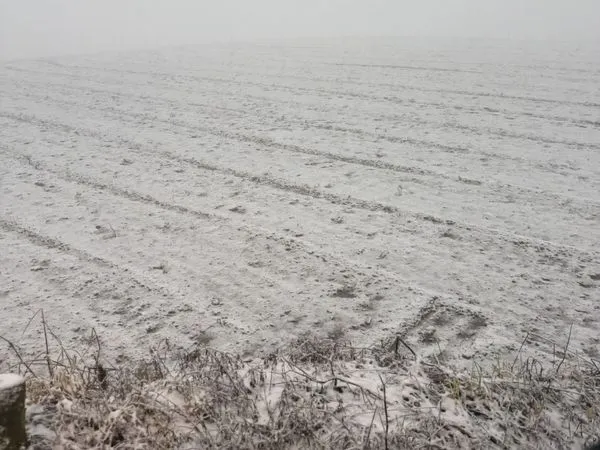 ▲▼今年的冬天特別長,三月中旬卻還有寒流,山上的作物都受到不小的影響,攝於新光部落。(圖/馬偕醫院提供)(顯圖橫式)