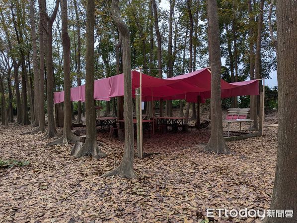 ▲崑山科技大學空間設計系於校內開設「跨材質環保創作工作坊」,師生於該次活動中共同創作7件作品,配合當地於一片美麗的森林中展出。(圖/記者林東良翻攝,下同)