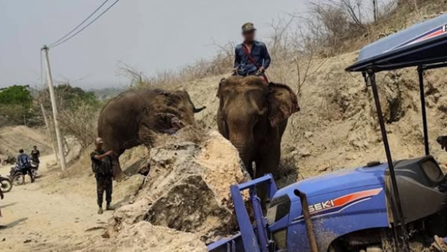 ▲▼緬甸強震1700死!道路中斷受損 反抗軍使用「大象救災」。(圖/翻攝X)