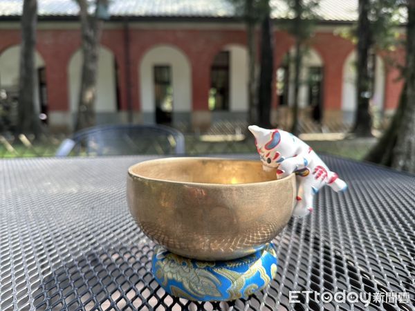 ▲台南最受歡迎的城市吉祥物「巷仔NIAU」再度掀起收藏熱潮!販售首日即引發搶購風潮,南瀛天文館線上商城兩度賣到缺貨。(圖/記者林東良翻攝,下同)