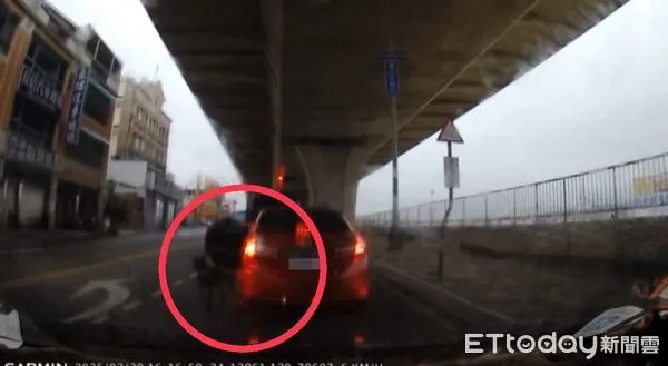 ▲▼ 。(圖/高雄愛媽黎愛提供)