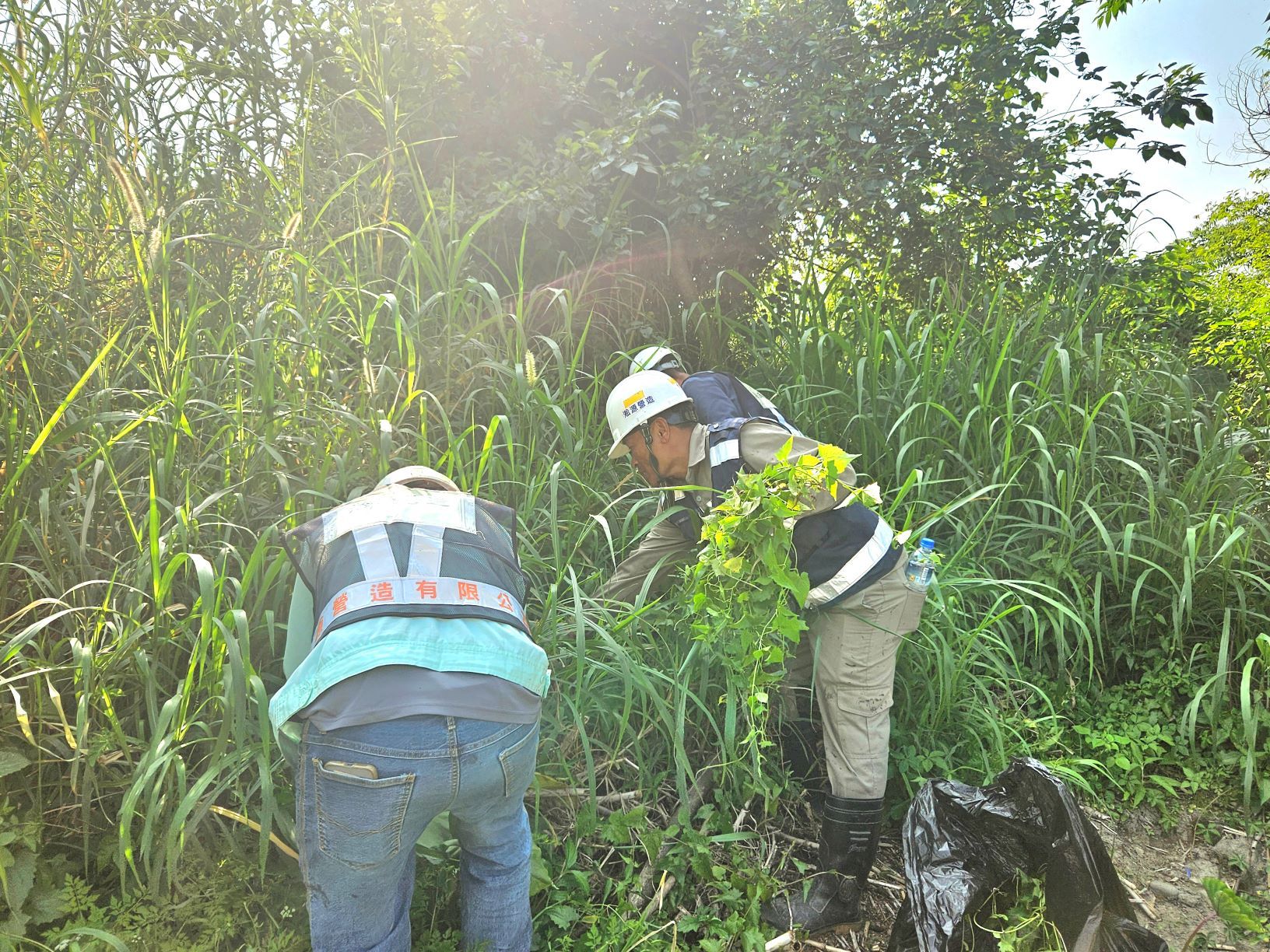 ▲新北攜手社區清除小花蔓澤蘭。(圖/新北市高灘處提供)