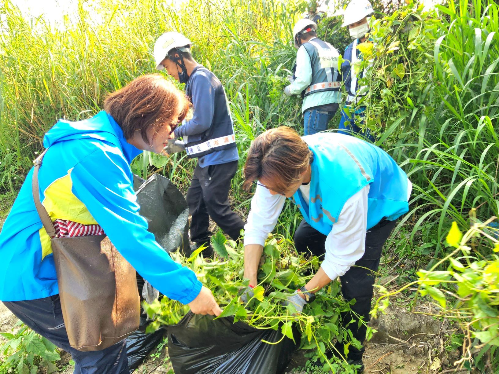 ▲新北攜手社區清除小花蔓澤蘭。(圖/新北市高灘處提供)