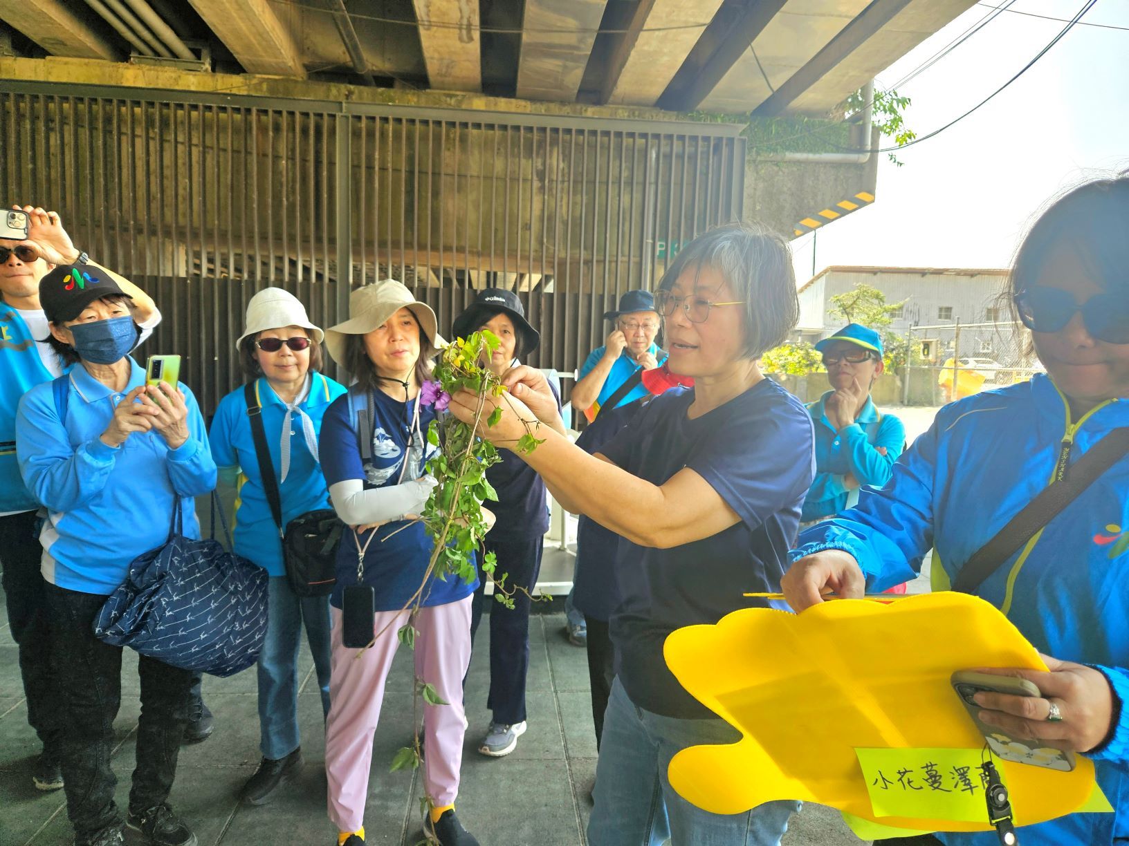 ▲新北攜手社區清除小花蔓澤蘭。(圖/新北市高灘處提供)