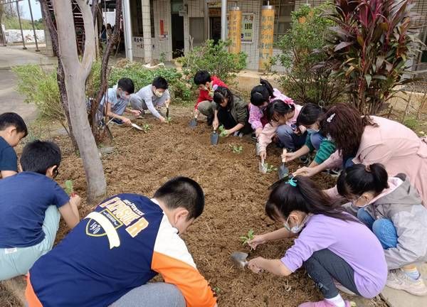 ▲慶祝兒童節桃園育仁國小學子種菜做公益