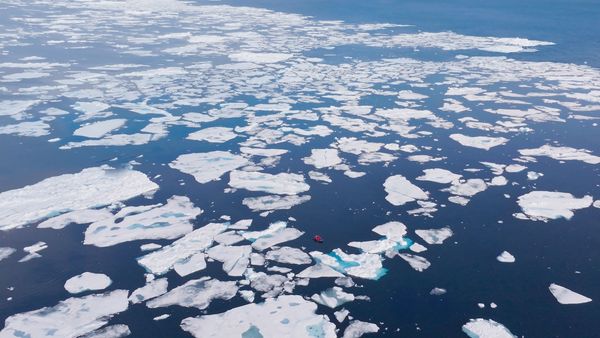 ▲《守護我們的星球》是台灣首部橫跨南北極電影。(圖/東森電視提供)
