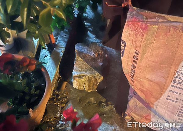 ▲苗栗通霄家暴男深夜要衝出家門遭阻攔,晚拿石頭砸雙親、造成媽媽重傷送醫。(圖/記者楊永盛翻攝)