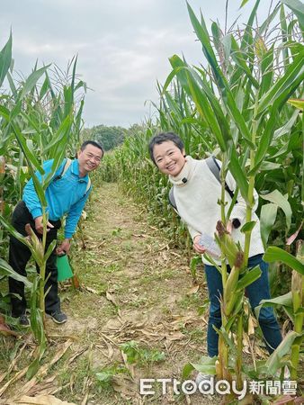 ▲▼水上鄉「水上同樂趣」活動將結合玉米迷宮 。(圖/水上鄉公所提供)