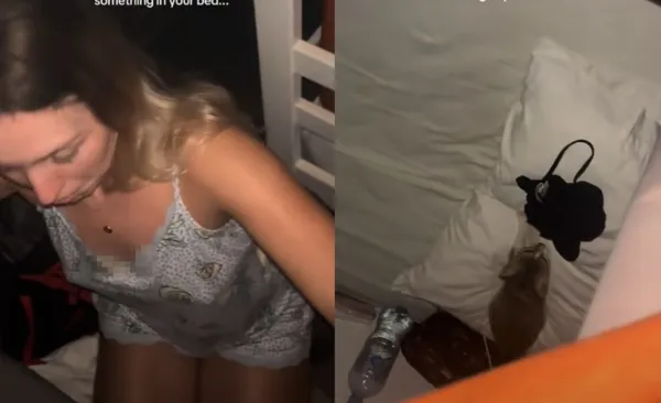 女旅館合宿「半夜突然有東西爬上床」 驚嚇開燈見訪客真相傻。(圖/翻攝自TikTok/izbuckley)