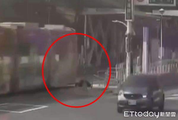▲▼驚險畫面曝光!高雄女過馬路突自摔軌道 下一秒險遭輕軌輾過。(圖/記者賴文萱翻攝)