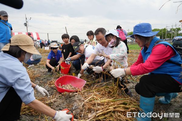 ▲雲林縣農會舉辦「食物日 x 四健農事服務團,一起蒜蒜看」活動,親子體驗蒜頭採收、品嚐美食。(圖/記者游瓊華翻攝)