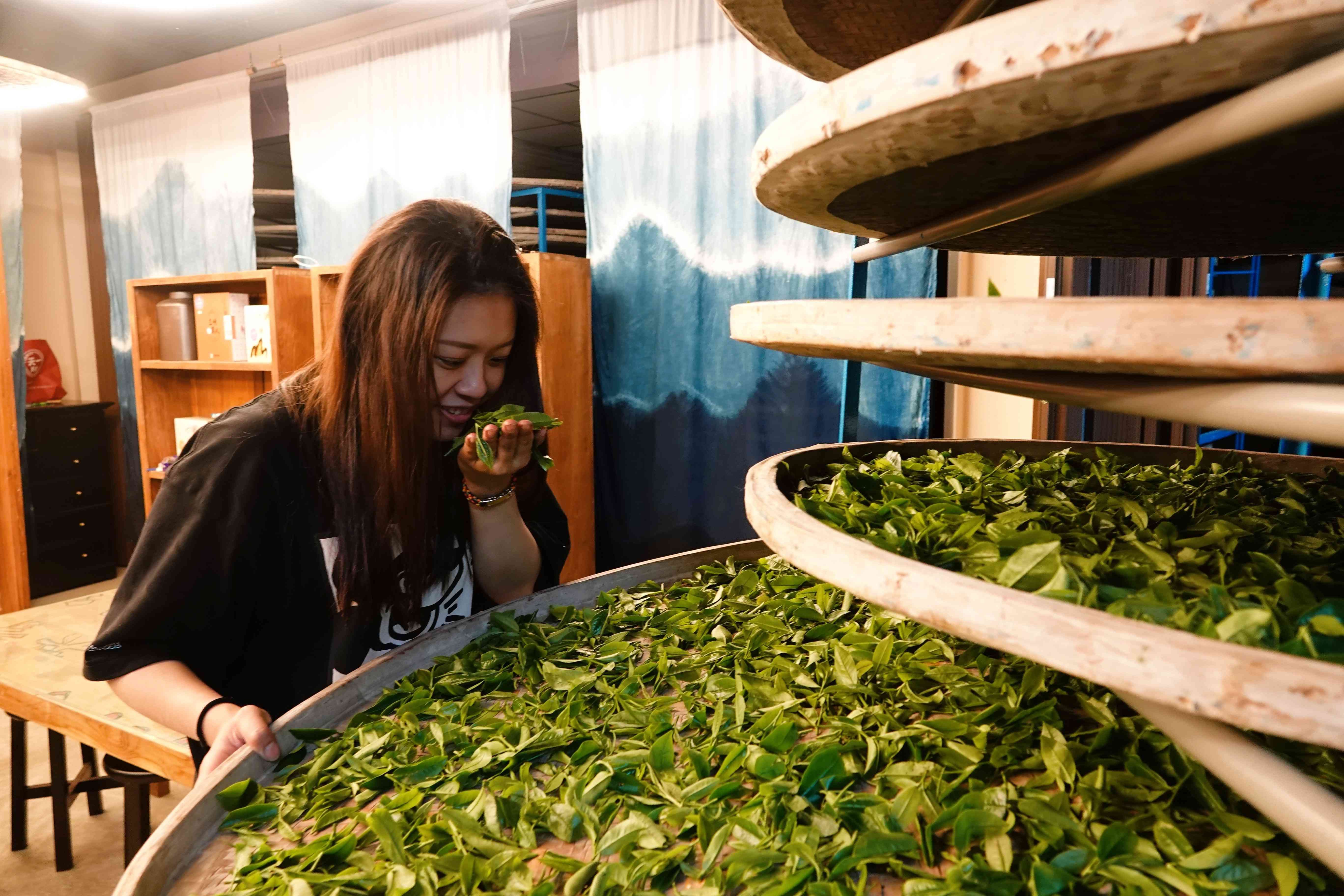 ▲女青農林孟諭奪碧螺春特等獎。(圖/新北市農業局提供)