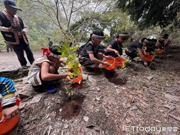 ▲布農族部落族人與學童在舊部落遺址週邊種下原生種樹苗。(圖/林業保育署南投分署提供,下同)