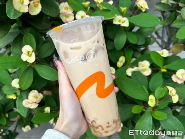 ▲▼CoCo粉角奶茶。(圖/CoCo提供)