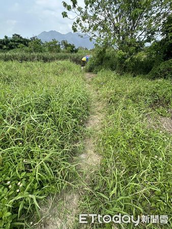▲關渡自然公園內池塘,一名79歲老翁溺斃。(圖/記者黃宥寧翻攝,下同)