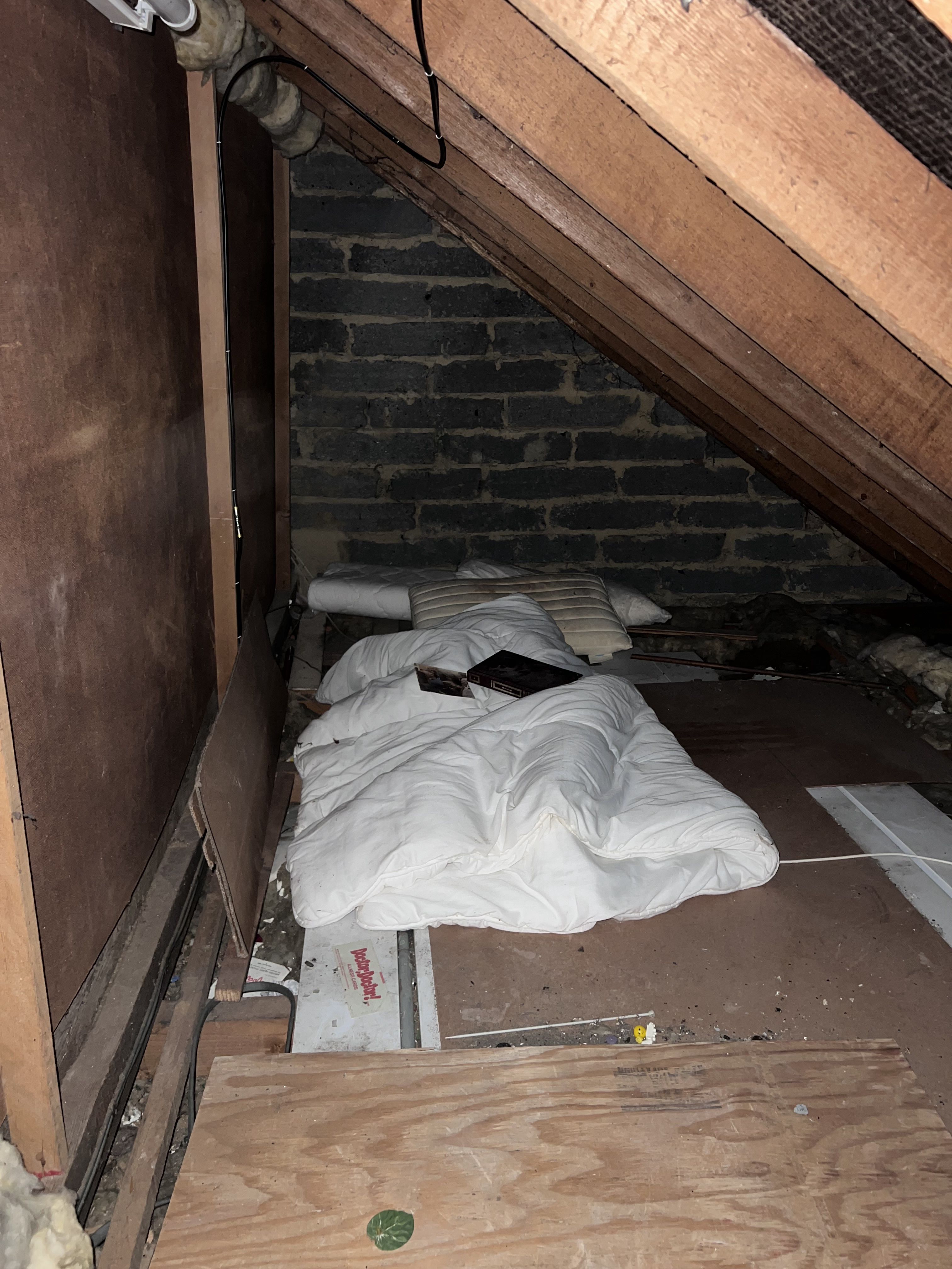 ▲▼ 。(圖/翻攝自Reddit)