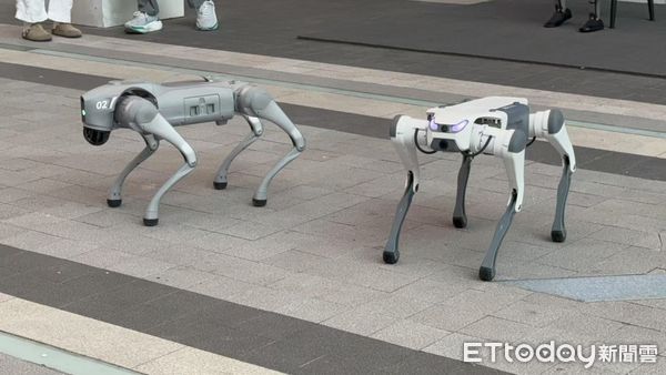 ▲▼ ▼  宇樹科技、雲深處科技、機器人、機器狗           。(圖/記者任以芳攝)
