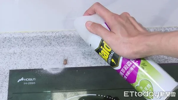 ▲天氣熱蟑螂出沒!刺鼻殺蟲劑不敢用 植萃新選擇網友喊想試▼ 。(圖/記者鄭遠龍攝)