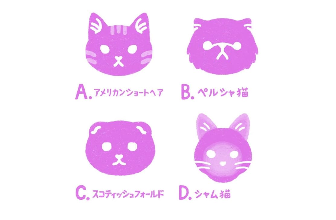 ▲▼心理測驗,愛情,貓咪,心動,語言,禮物,聊天,外表。(圖/翻攝自心測官網)