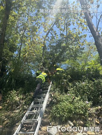 ▲88歲老翁跌落近4米深邊坡獲救。(圖/記者高堂堯翻攝)
