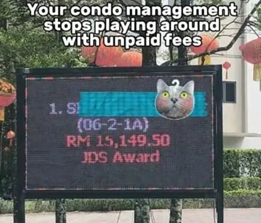 ▲▼ 。(圖/翻攝自星洲網)