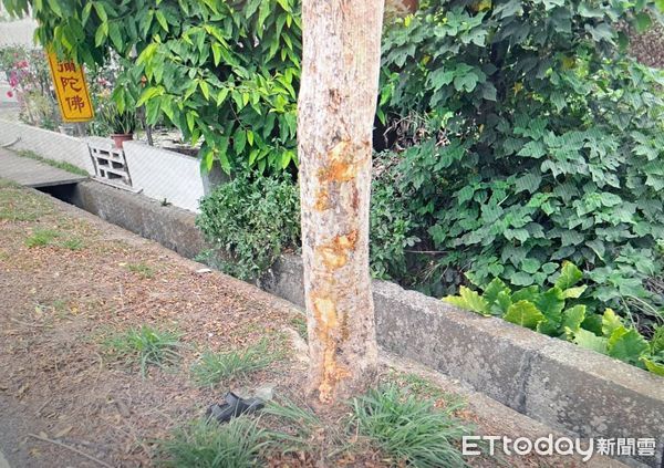 ▲▼ 屏東死亡車禍 。(圖/記者陳崑福翻攝)