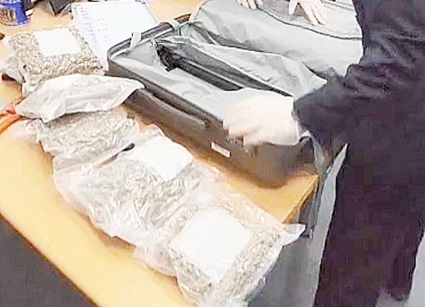 ▲航警局與海關人人員開箱後查獲行李夾帶3.2公斤二級毒品大麻花。(圖/航警局提供)