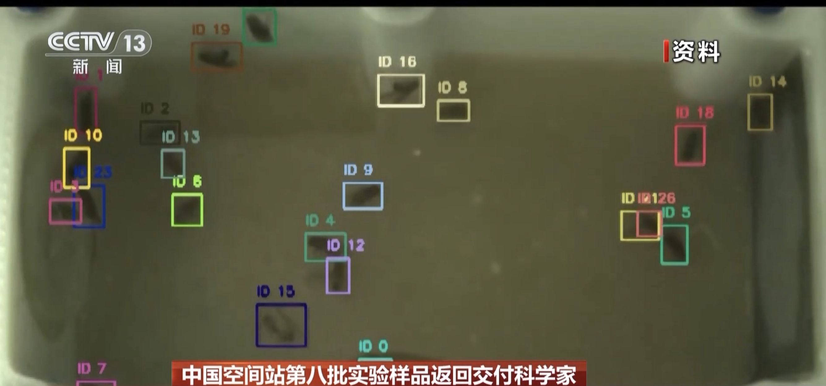 ▲果蠅,太空實驗,空間站。(圖/翻攝央視)