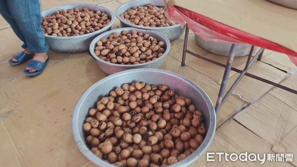 ▲白沙屯媽祖繞境將於今日晚間11時25分開始,今一早已有大批信眾前往朝聖 。(圖/記者陳煥丞攝)