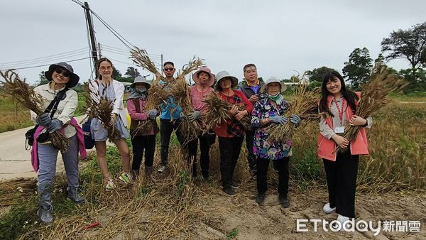 ▲▼「114年度官澳遊四季」第二季活動—《澳麥的神奇魔法》開跑。(圖/記者林名揚翻攝)