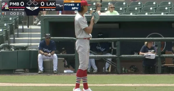 ▲林振瑋。(圖/截自MiLB TV)