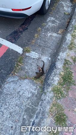 ▲▼高雄電線桿火花四濺。(圖/Threads/peiling0210授權提供)